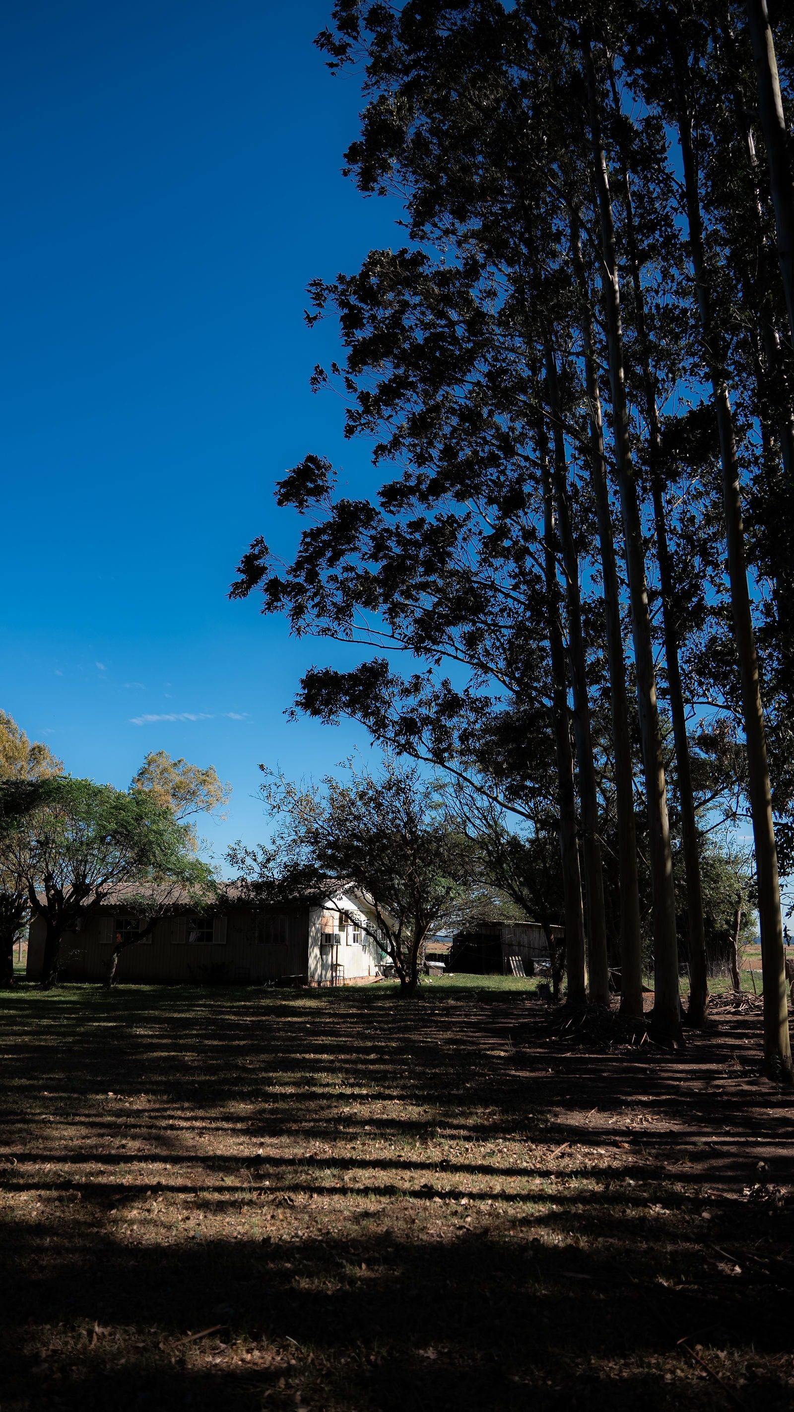 Entardecer na fazenda